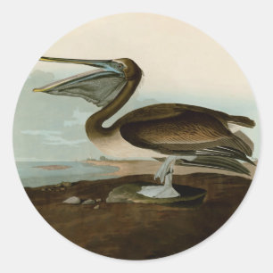 John James Audubon Brown Pelican Artwork Painting Runder Aufkleber