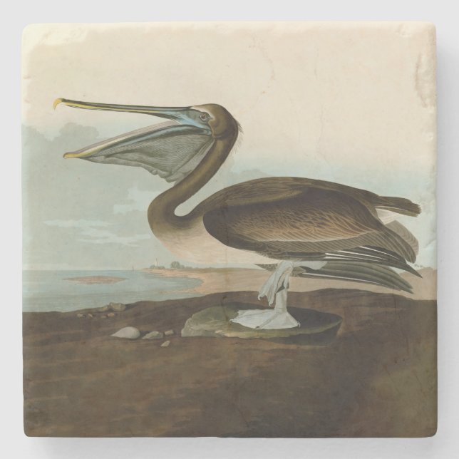 John James Audubon Brown Pelican Artwork Painting Steinuntersetzer (Vorderseite)