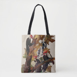 John James Audubon Buntspecht Vogel Druck