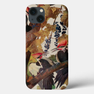 John James Audubon Buntspecht Vogel Druck Case-Mate iPhone Hülle