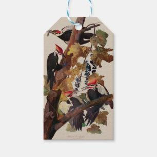 John James Audubon Buntspecht Vogel Druck Geschenkanhänger
