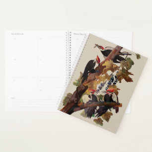 John James Audubon Buntspecht-Vogel Druck Planer