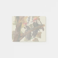John James Audubon Buntspecht Vogel Druck