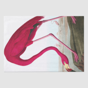 John James Audubon Flamingo Rosa Kunstwerk Decoupa Seidenpapier