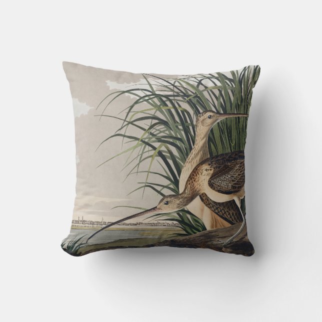 John James Audubon Long Billed Curlew Bird Kissen (Vorderseite)