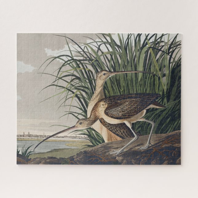 John James Audubon Long Billed Curlew Bird Puzzle (Horizontal)