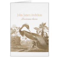 John James Audubon Lousiana Heron CC0750 Bird