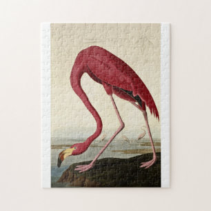 John James Audubon - Rosaflamingo Puzzle
