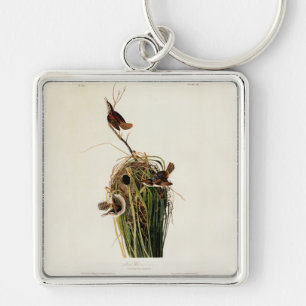 John James Audubon Sumpfzaunkönig-Vogel-Druck Schlüsselanhänger