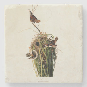 John James Audubon Sumpfzaunkönig-Vogel-Druck Steinuntersetzer