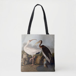 John James Audubon Weißer Ibis Vogel Druck Klassik