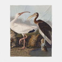 John James Audubon Weißer Ibis Vogel Druck Klassik