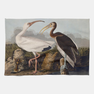 John James Audubon Weißer Ibis Vogel Druck Klassik Geschirrtuch