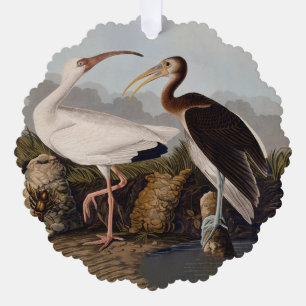 John James Audubon Weißer Ibis Vogel Druck Klassik Ornament Karte