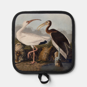John James Audubon Weißer Ibis Vogel Druck Klassik Topflappen