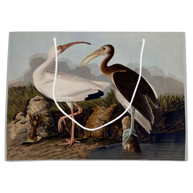 John James Audubon White Ibis Bird Print Classic Große Geschenktüte (Vorderseite)