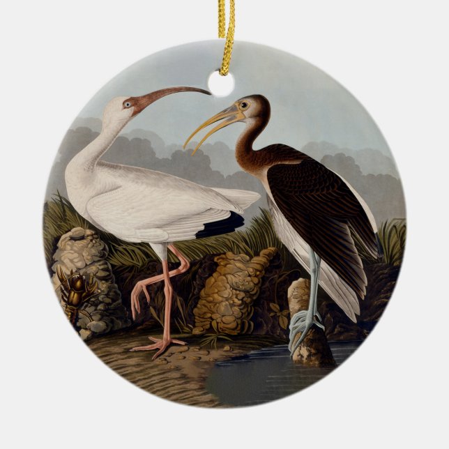 John James Audubon White Ibis Bird Print Classic Keramik Ornament (Vorne)
