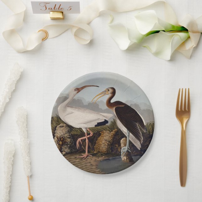 John James Audubon White Ibis Bird Print Classic Pappteller (Hochzeit)