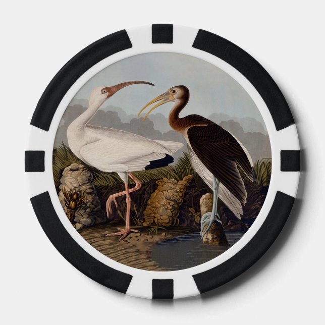 John James Audubon White Ibis Bird Print Classic Pokerchips (Vorderseite)