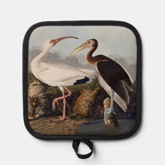 John James Audubon White Ibis Bird Print Classic Topflappen (Vorderseite)