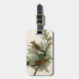 John James Audubon Zedernseidenschwanz-Vogel Druck Gepäckanhänger
