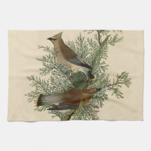 John James Audubon Zedernseidenschwanz-Vogel Druck Geschirrtuch
