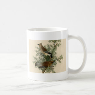 John James Audubon Zedernseidenschwanz-Vogel Druck Kaffeetasse
