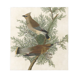 John James Audubon Zedernseidenschwanz-Vogel Druck Notizblock