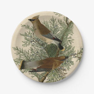 John James Audubon Zedernseidenschwanz-Vogel Druck Pappteller