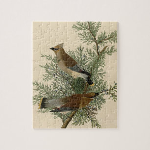 John James Audubon Zedernseidenschwanz-Vogel-Druck Puzzle