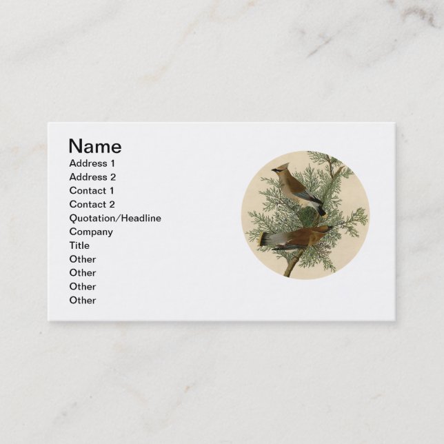 John James Audubon Zedernseidenschwanz-Vogel Druck Visitenkarte (Vorderseite)
