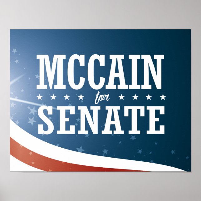 John McCain 2016 Poster (Vorne)