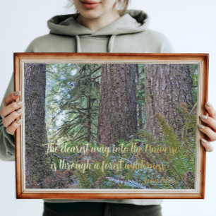 John Muir Nature Quote Forest Wilderness Foliendrucke