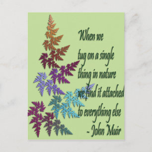 John muir - Postkarte