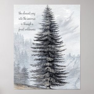 John Muir Quote Forest Wilderness Print Poster