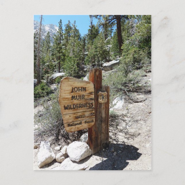 John Muir Wilderness Postkarte (Vorderseite)