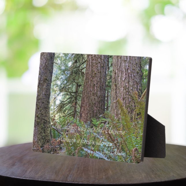 John Muir Zitat Giant Conifer Forest Fotoplatte (In Situ Table)