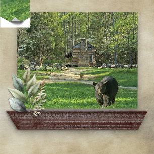 John Oliver Black Bear Cabin Poster