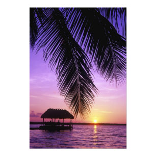 John Pennekamp State Park, Florida Keys, Key Fotodruck