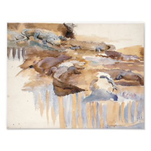 John Singer Sargent - Alligators Fotodruck