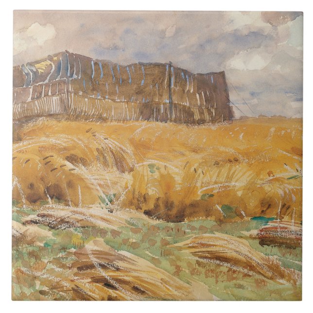 John Singer Sargent - Camouflaged Field in Frankre Fliese (Vorderseite)