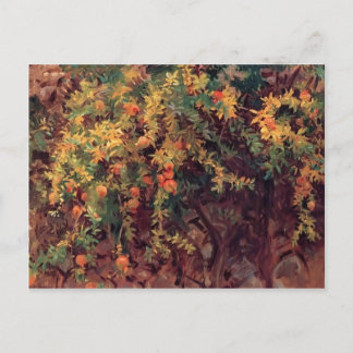 John Singer Sargent - Pomegranates Postkarte