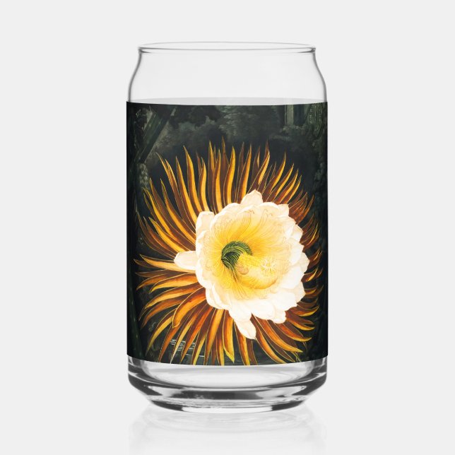 John Thornton The Night-Blaswing Cereus Botanical Dosenglas (Vorderseite)