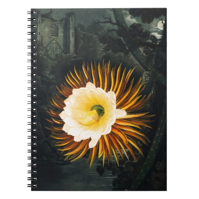 John Thornton The Night-Blaswing Cereus Botanical Notizblock (Vorderseite)