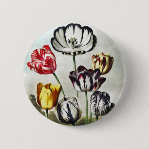 John Thornton Tulips aus dem Tempel der Flora Button