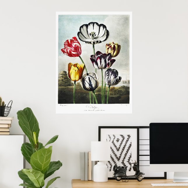 John Thornton Tulips aus dem Tempel der Flora Poster (Heimbüro)