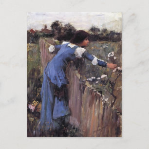 John William Waterhouse - The Blume Picker Postkarte
