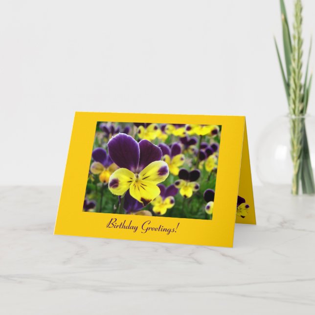 Johnny Jump Up Birthday Karte (Vorderseite)