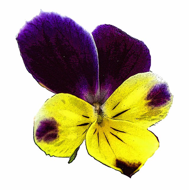 Johnny Jump Up Hanging Christmas Acrylic Fotoskulptur Ornament (Vorne)