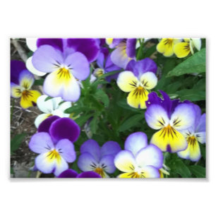 Johnny springt hoch fotodruck